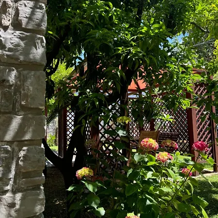 Casa Della Riviera Sorrento